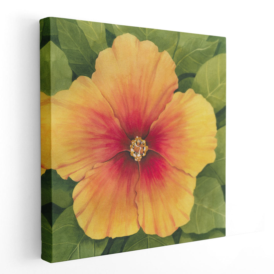 Wild Hibiscus I - Canvas Print Wall Art