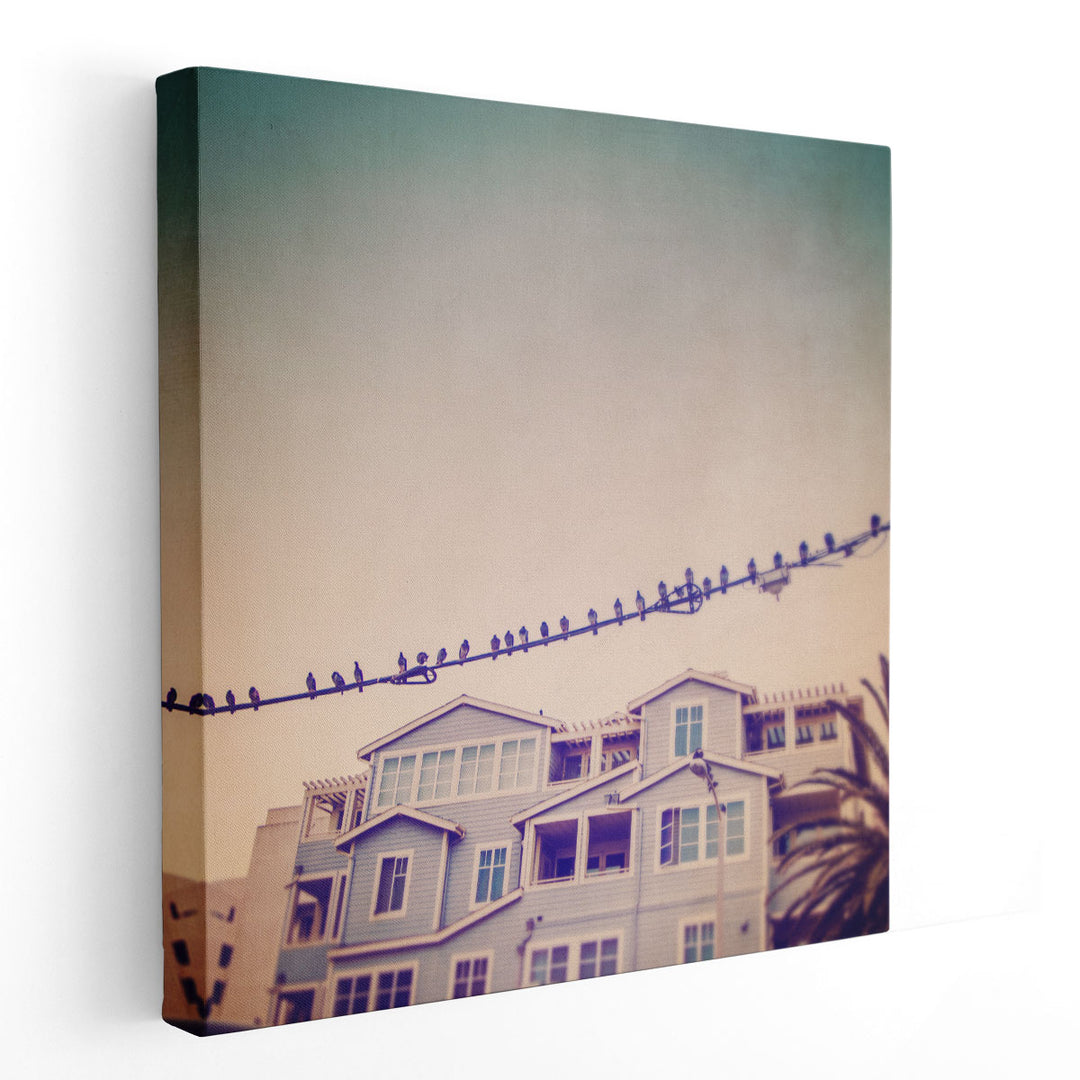 Birds On Wires I - Canvas Print Wall Art