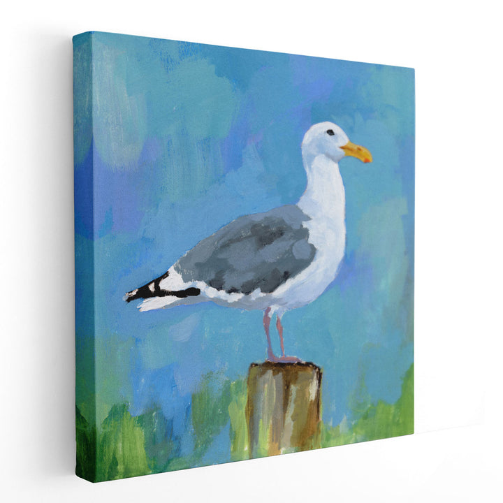 Salty Gull I - Canvas Print Wall Art