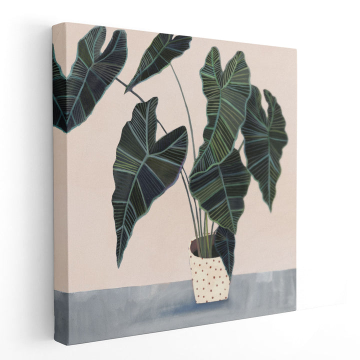 Houseplant II - Canvas Print Wall Art