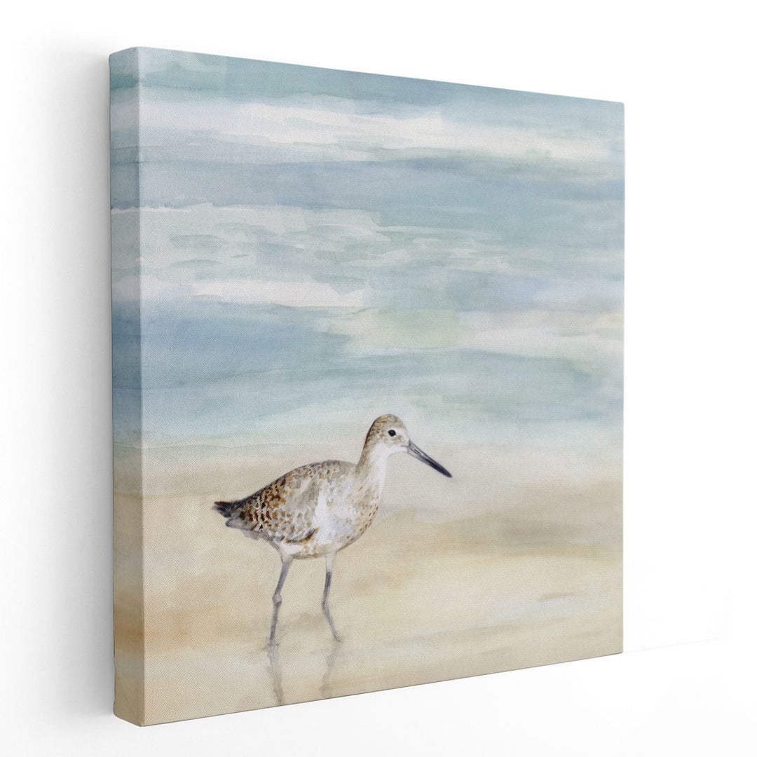 Speckled Willet I - Canvas Print Wall Art