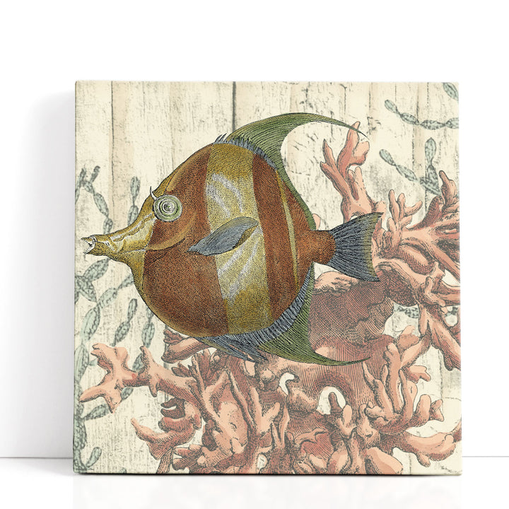 Coastal Montage II - Canvas Print Wall Art