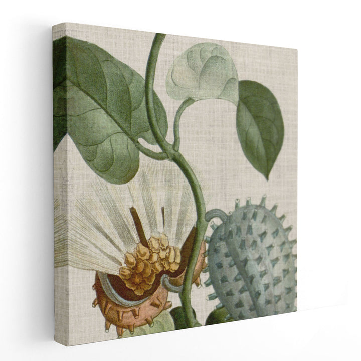 Cropped Turpin Tropicals II - Canvas Print Wall Art