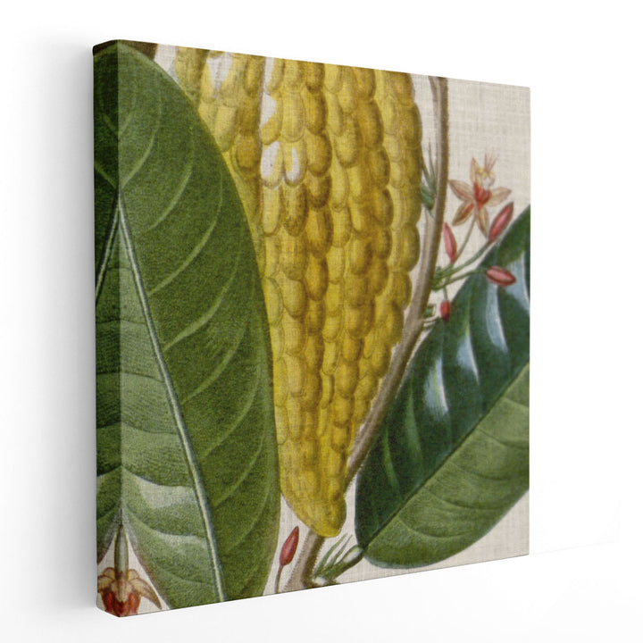 Cropped Turpin Tropicals VI - Canvas Print Wall Art