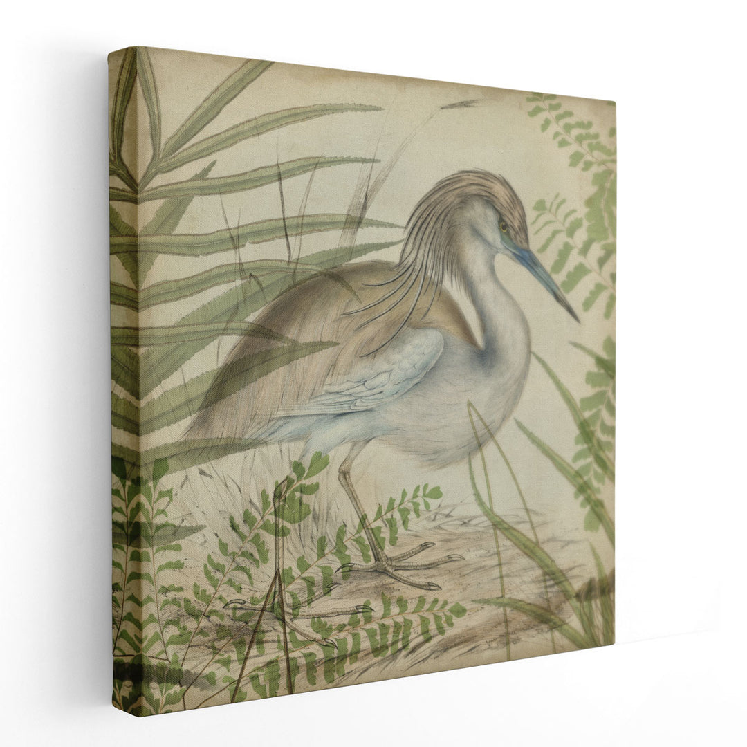 Heron & Ferns II - Canvas Print Wall Art