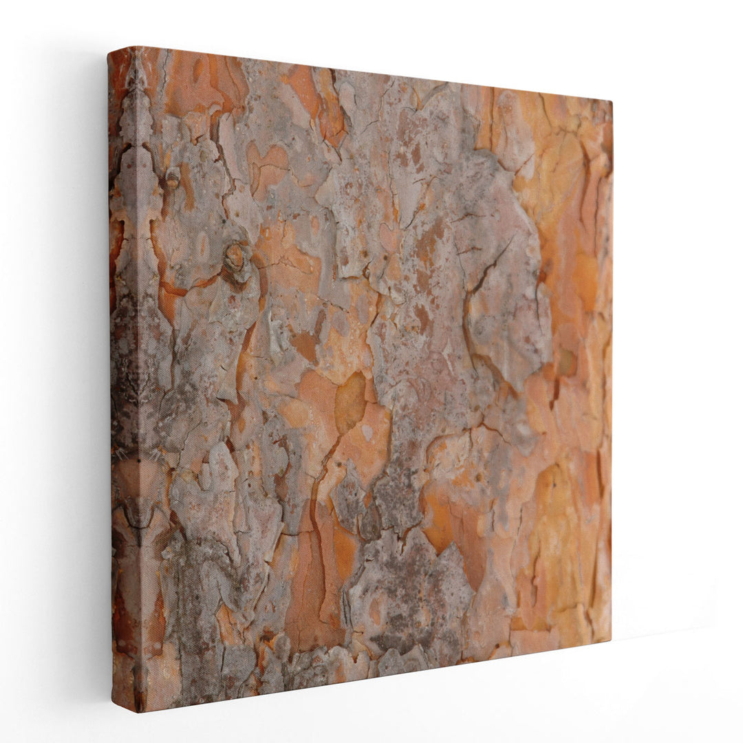 Natures Textures VII - Canvas Print Wall Art