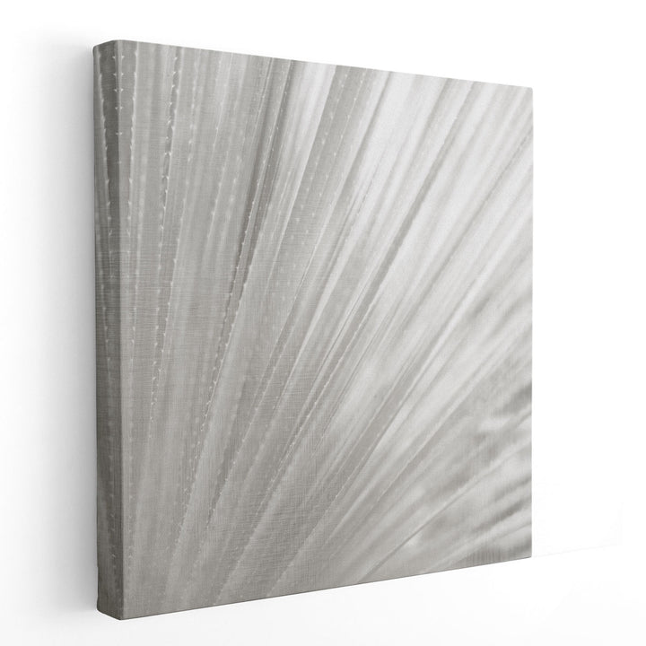 Silver Wash - Canvas Print Wall Art