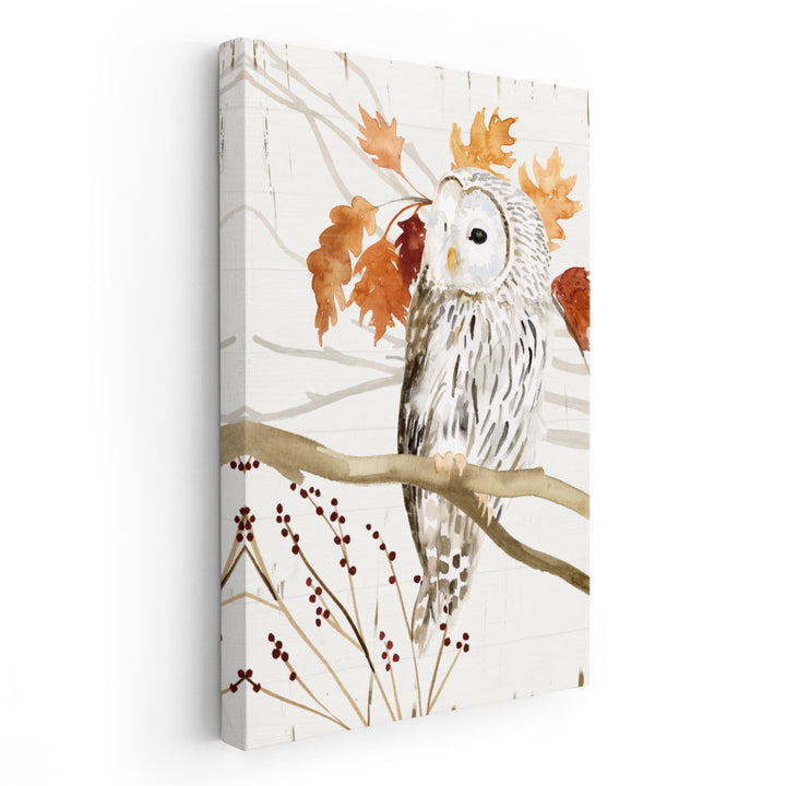 Harvest Owl II - Canvas Print Wall Art