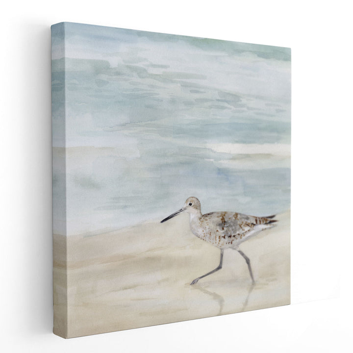 Speckled Willet II - Canvas Print Wall Art