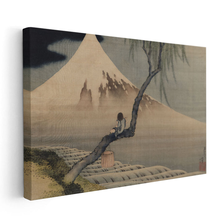 Boy on Mt Fuji - Canvas Print Wall Art