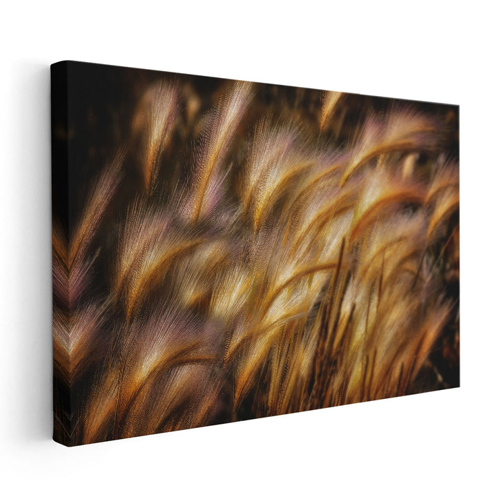 Field Of Grain - Canvas Print Wall Art