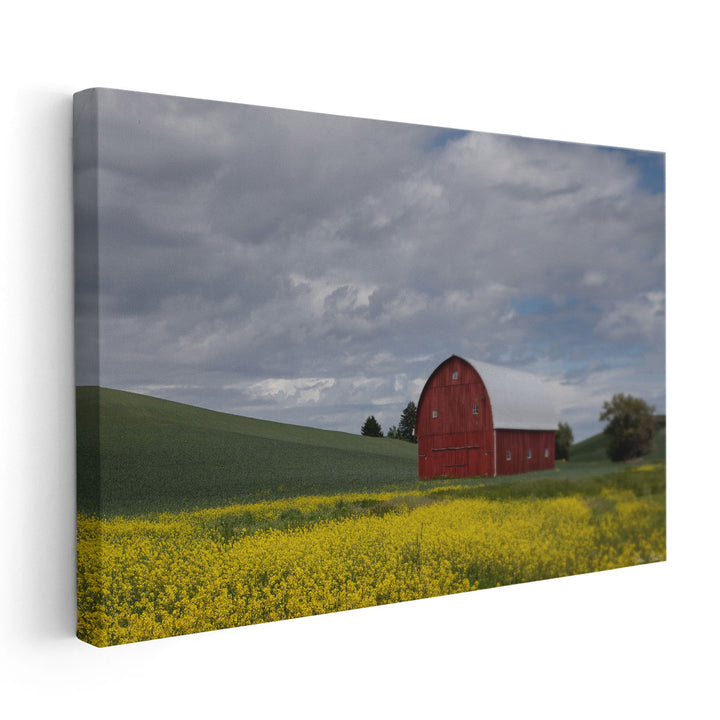 Palouse Barn And Flowers I - Canvas Print Wall Art