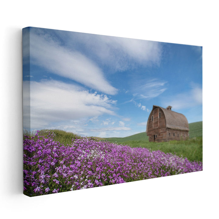 Palouse Barn And Flowers II - Canvas Print Wall Art