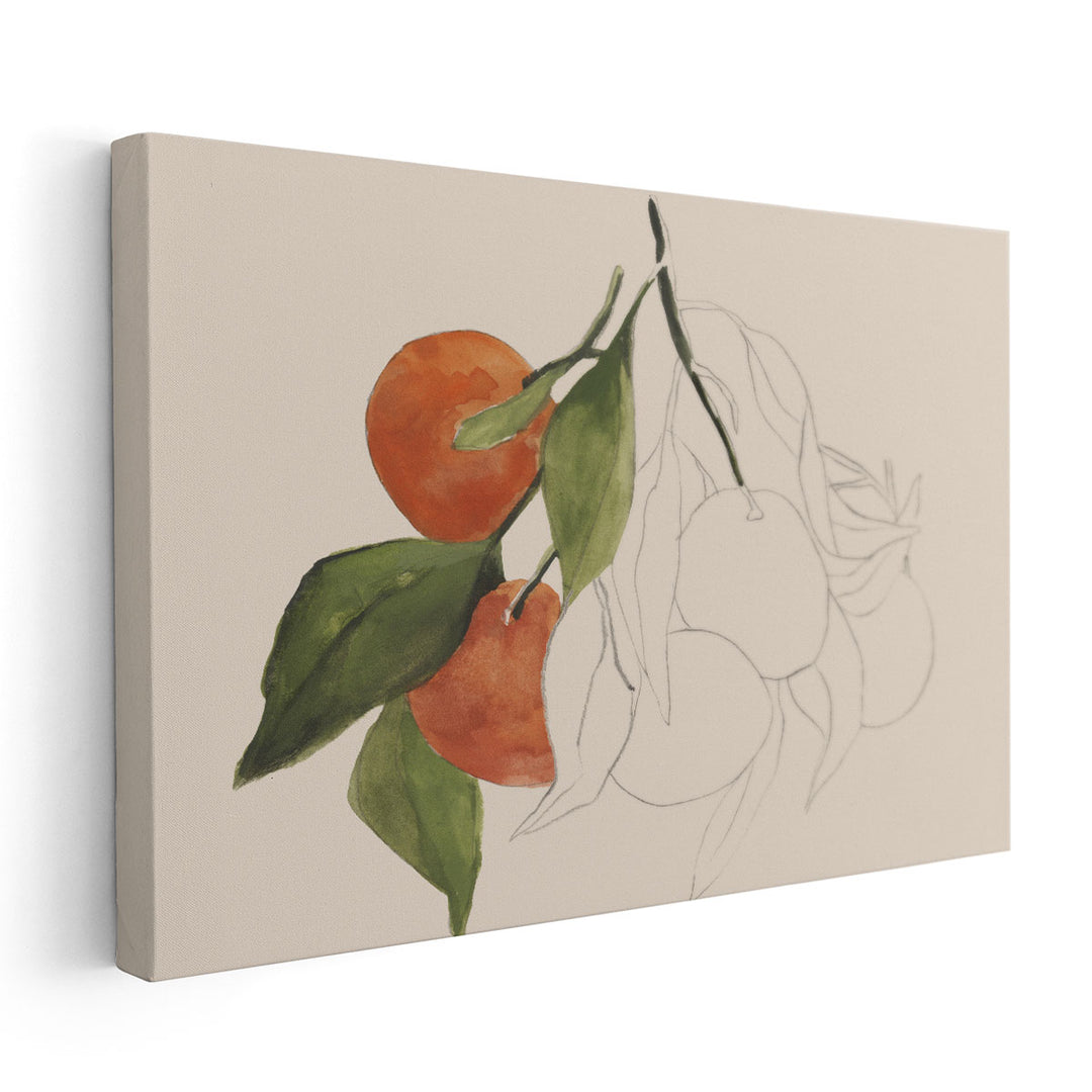 Tangerine Sketch II - Canvas Print Wall Art