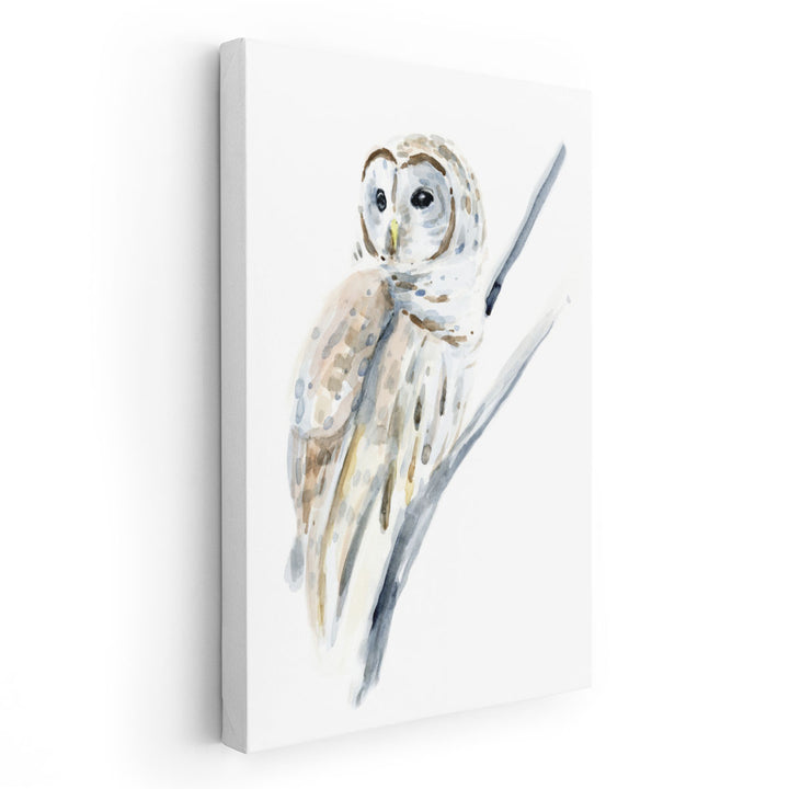 Arctic Owl I - Canvas Print Wall Art