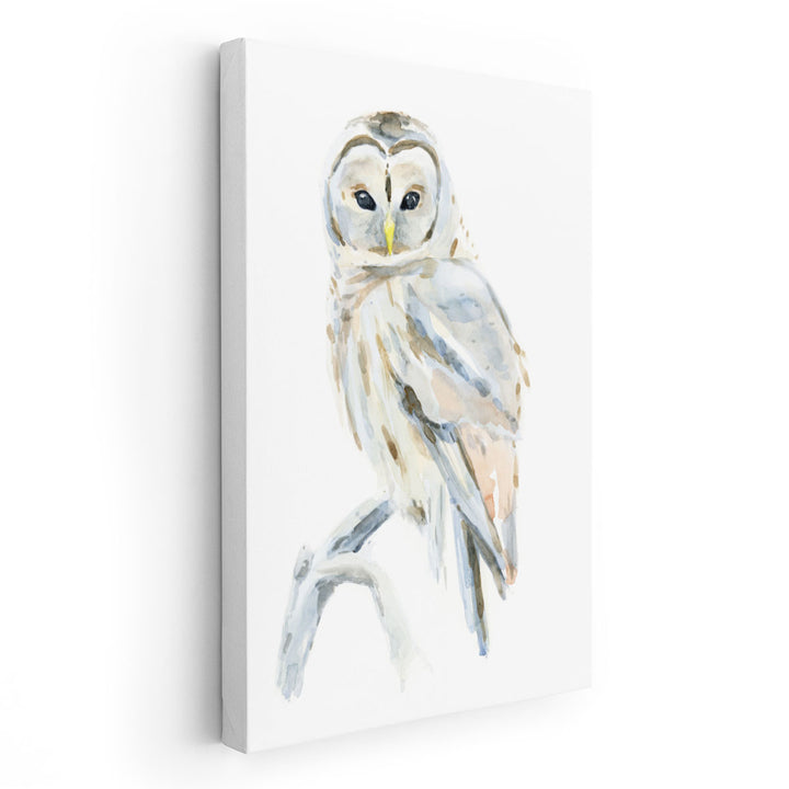 Arctic Owl II - Canvas Print Wall Art