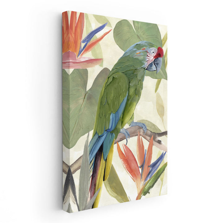 Tropical Parrot Composition I - Canvas Print Wall Art