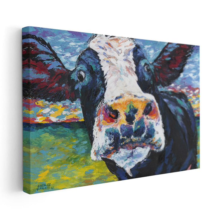 Curious Cow II - Canvas Print Wall Art