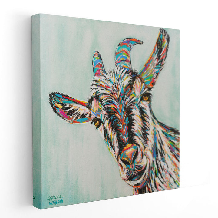 Funny Goat I - Canvas Print Wall Art