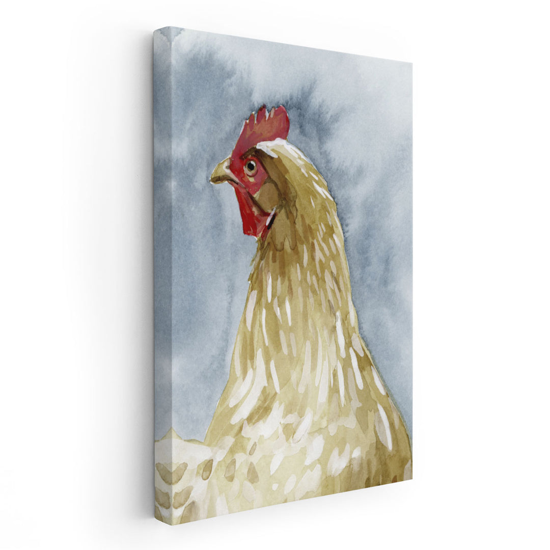 Chicken Portrait I - Canvas Print Wall Art