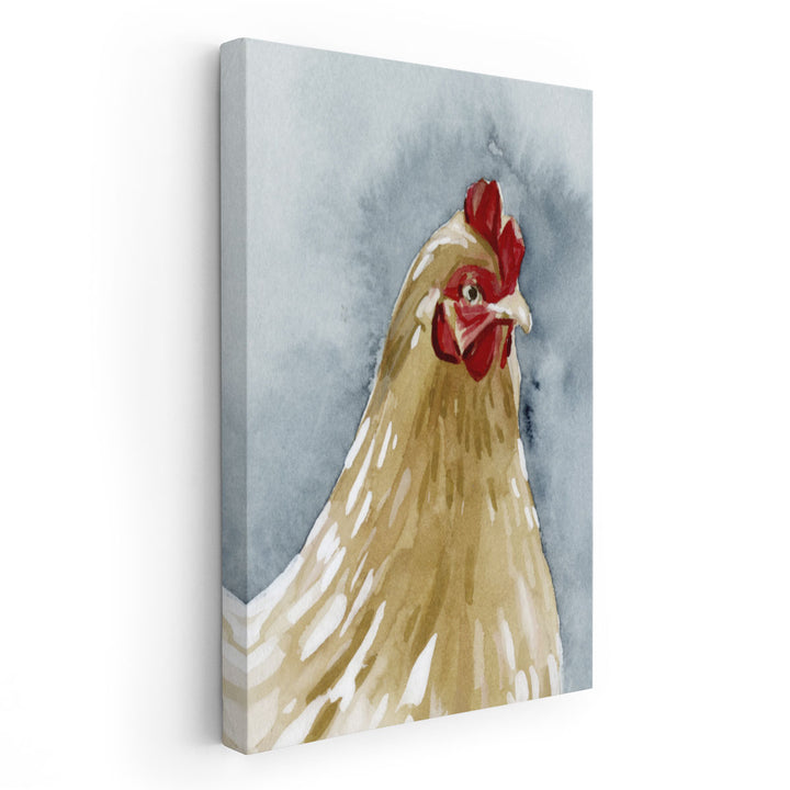 Chicken Portrait II - Canvas Print Wall Art