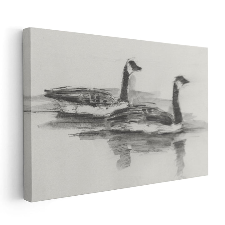 Geese Study I - Canvas Print Wall Art