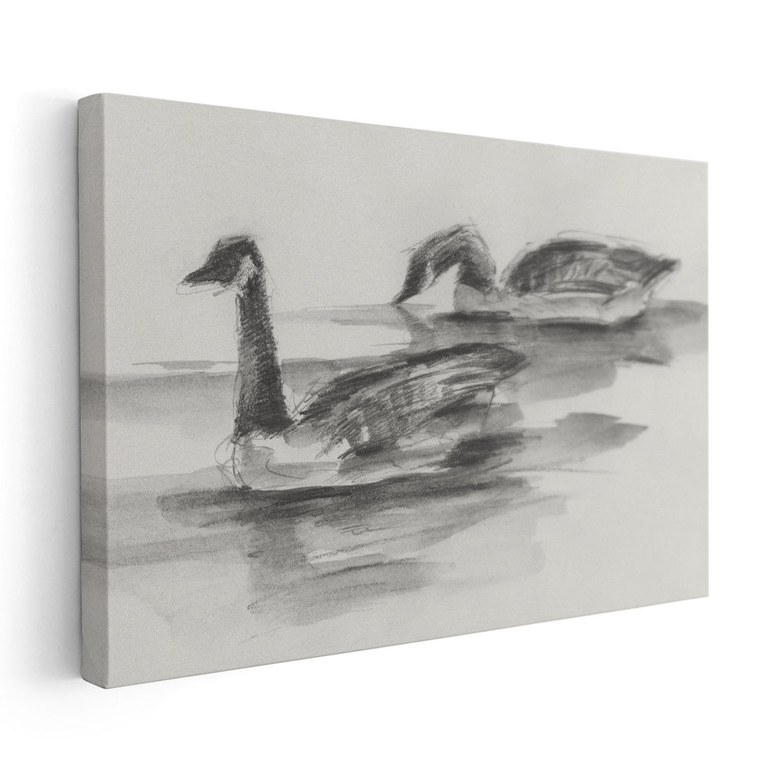 Geese Study II - Canvas Print Wall Art