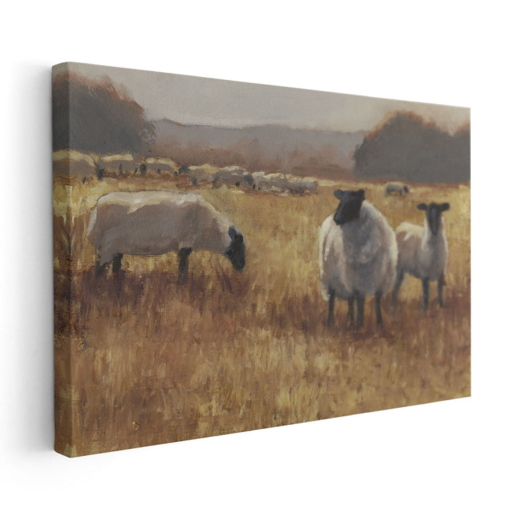 Grazing at Sunset II - Canvas Print Wall Art