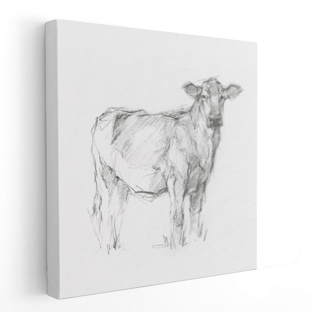 Bovine Study I - Canvas Print Wall Art