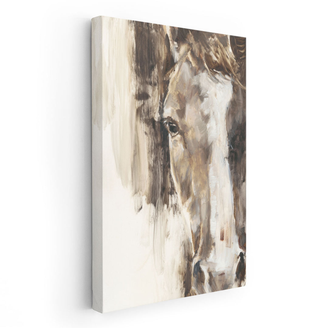 Cropped Equine Study I - Canvas Print Wall Art