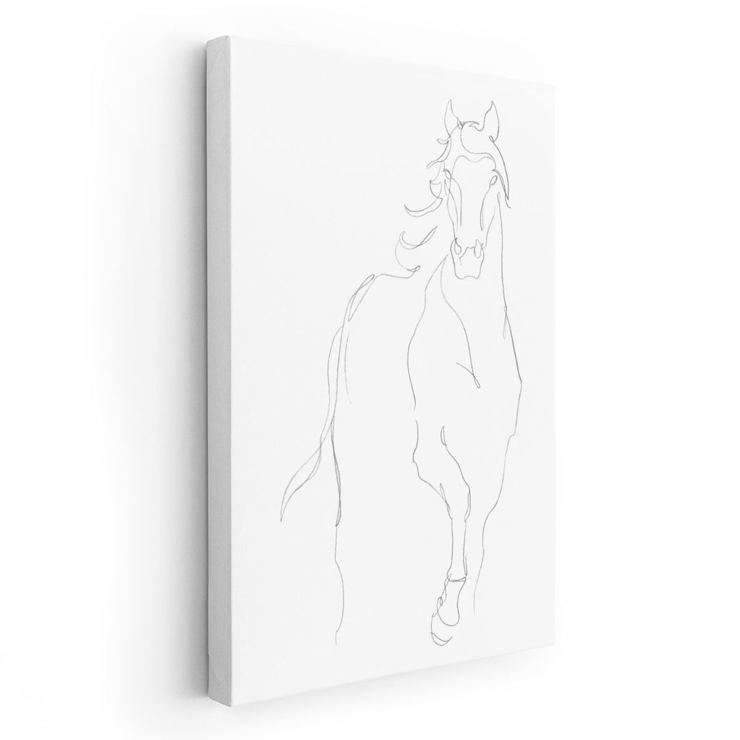 Horse Contour I - Canvas Print Wall Art