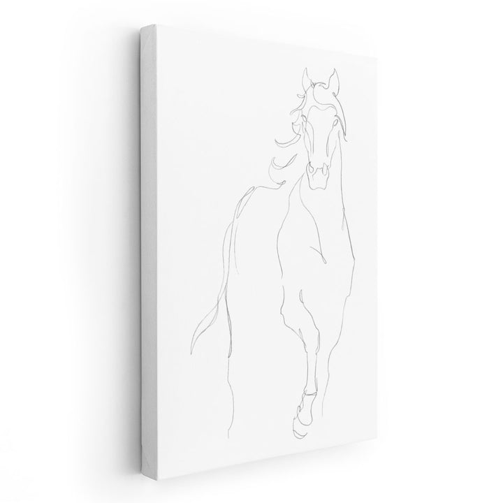 Horse Contour I - Canvas Print Wall Art