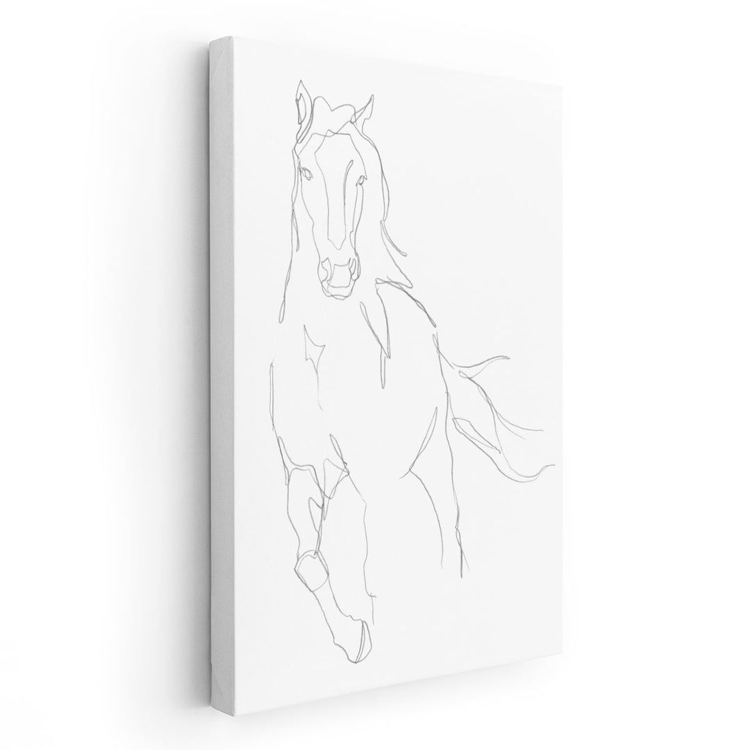 Horse Contour II - Canvas Print Wall Art