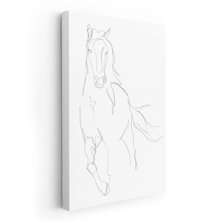 Horse Contour II - Canvas Print Wall Art