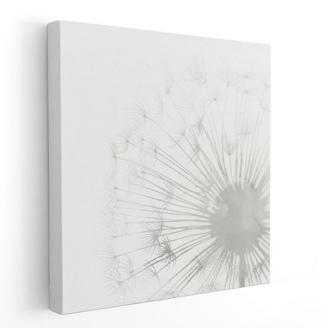 Dandelion Whisper II - Canvas Print Wall Art