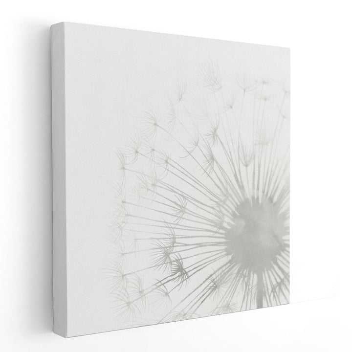 Dandelion Whisper II - Canvas Print Wall Art