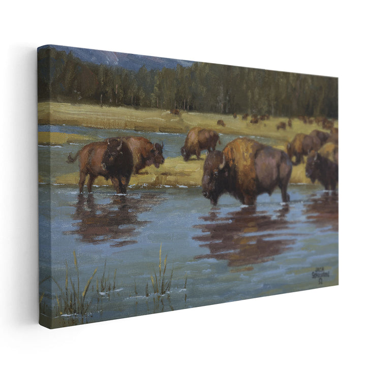 Buffalo Crossing - Canvas Print Wall Art