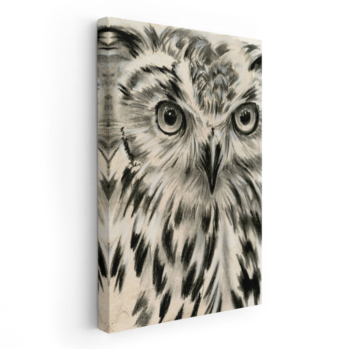 Charcoal Owl I - Canvas Print Wall Art