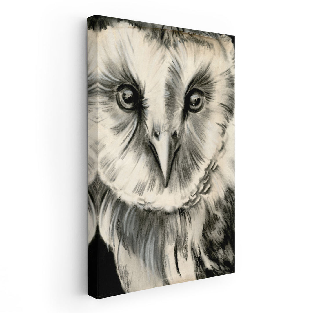 Charcoal Owl II - Canvas Print Wall Art