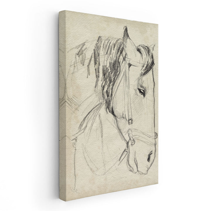 Horse in Bridle Sketch I - Canvas Print Wall Art