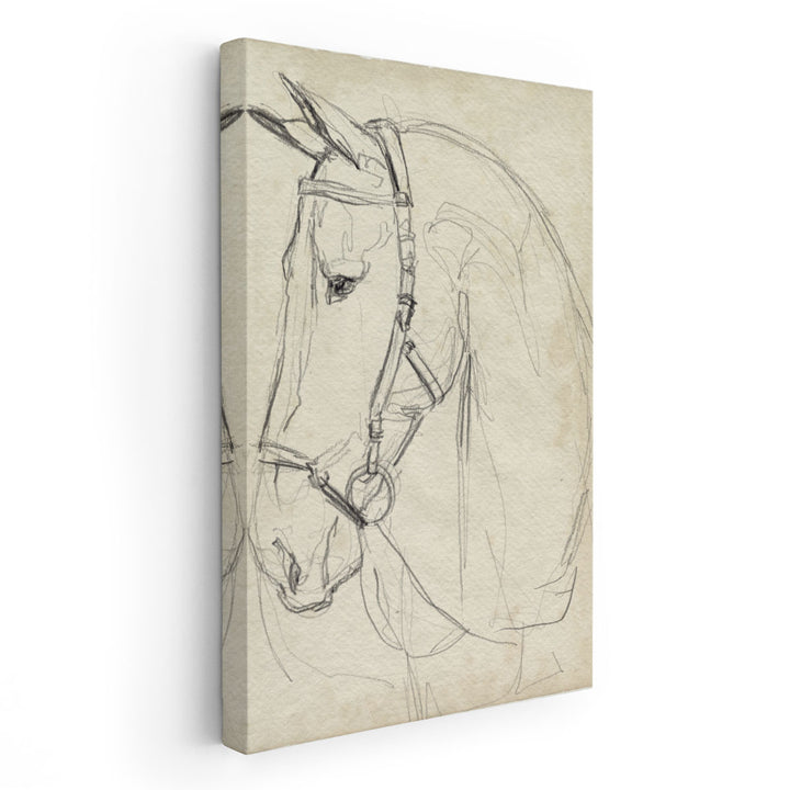 Horse in Bridle Sketch II - Canvas Print Wall Art