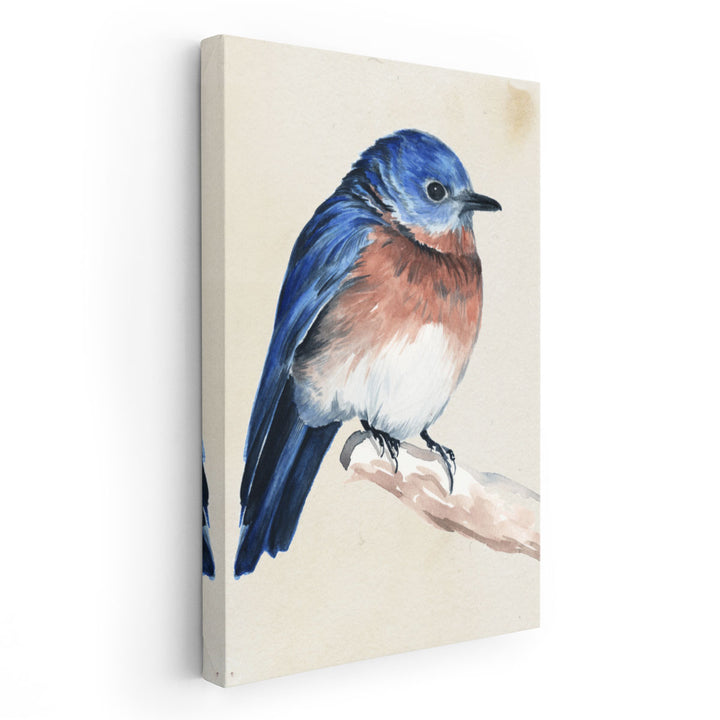 Little Bird on Branch I - Canvas Print Wall Art