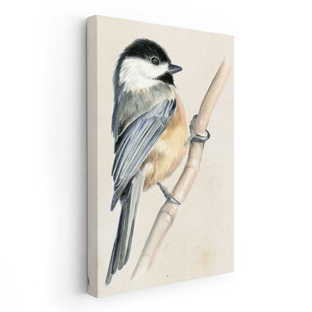 Little Bird on Branch II - Canvas Print Wall Art