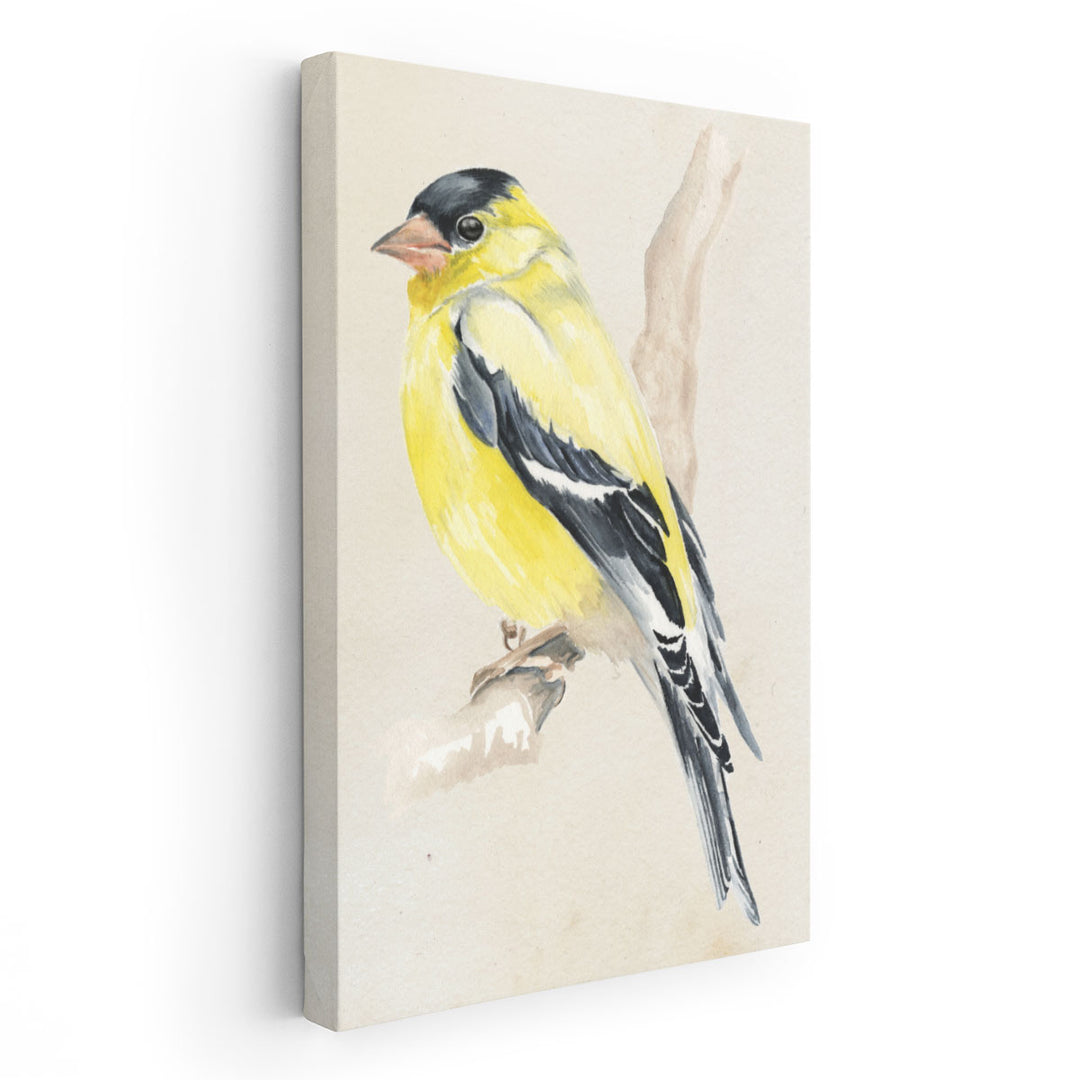 Little Bird on Branch III - Canvas Print Wall Art