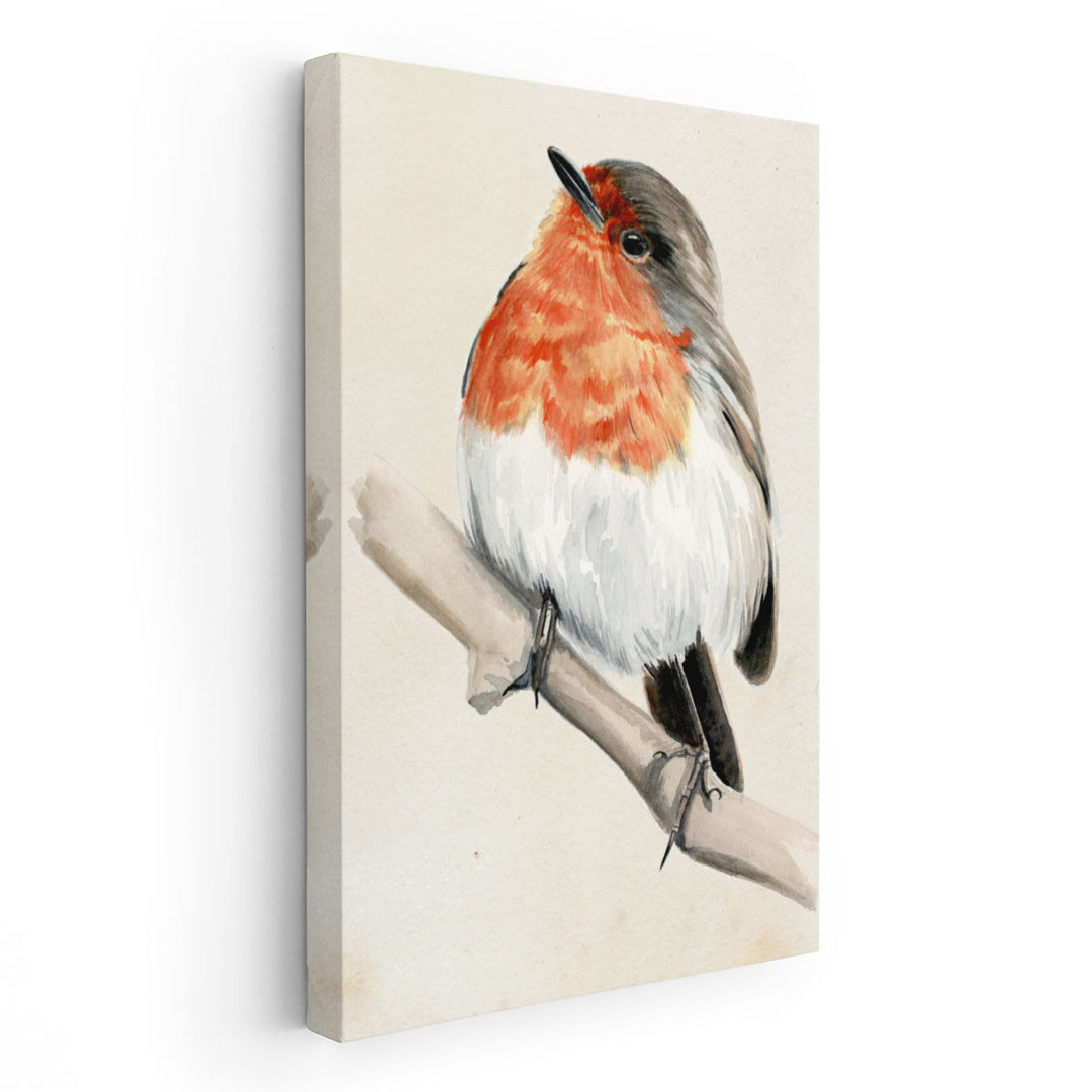 Little Bird on Branch IV - Canvas Print Wall Art