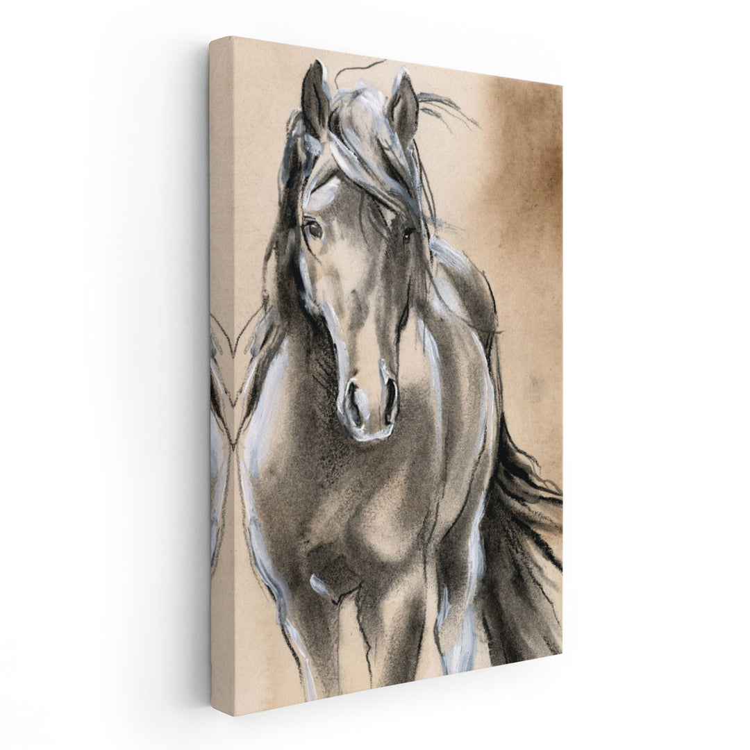 Sketched Horse II - Canvas Print Wall Art