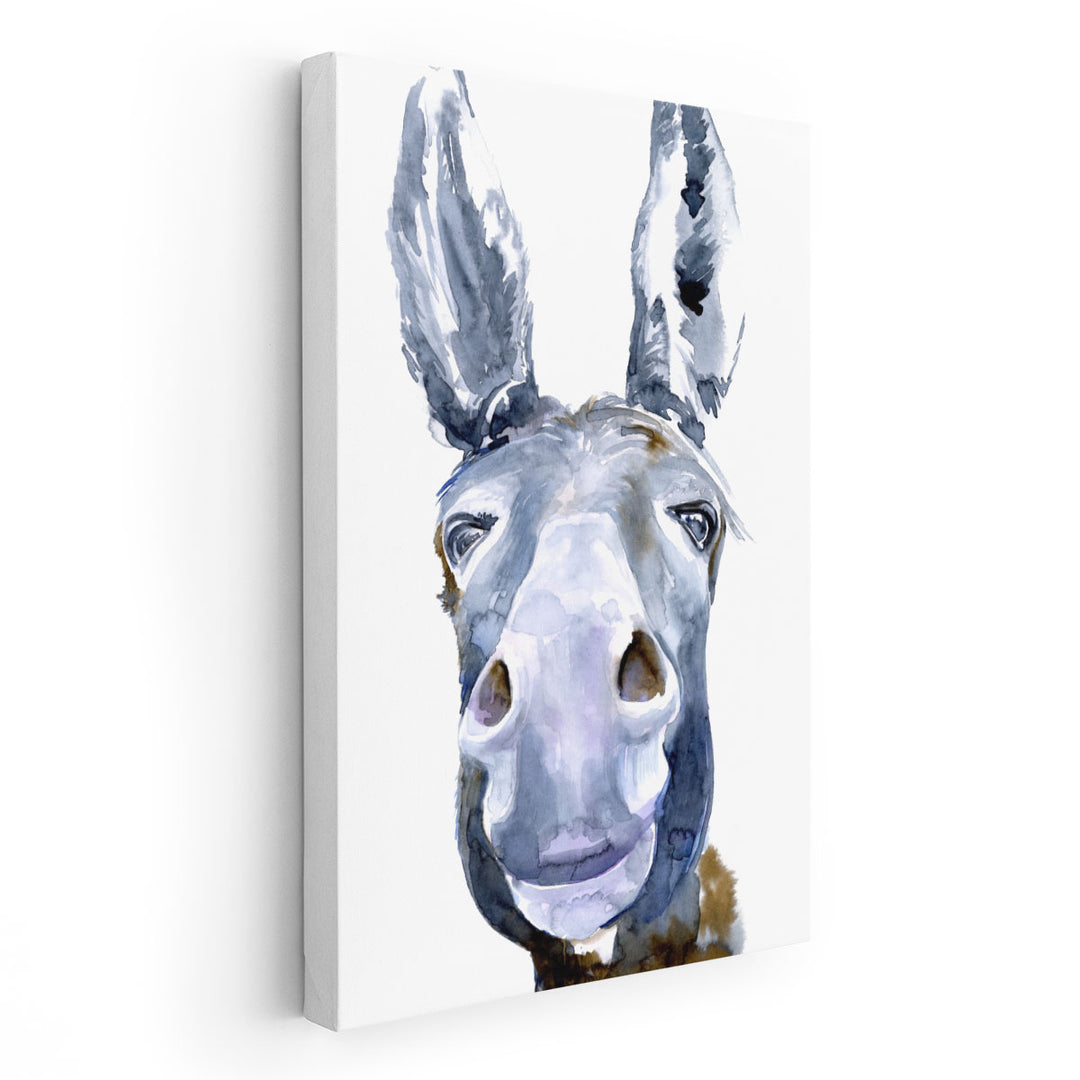 Sweet Donkey I - Canvas Print Wall Art