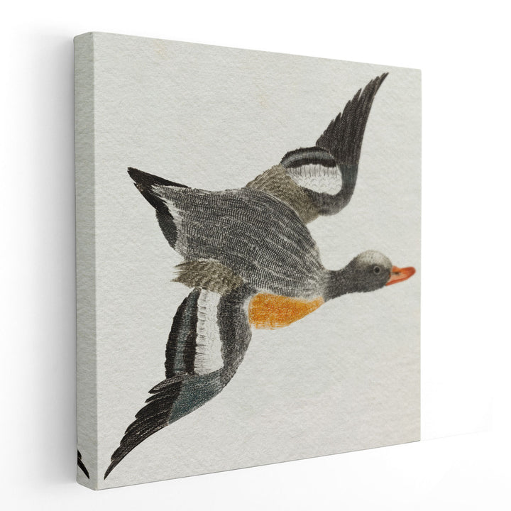 Flying Ducks I - Canvas Print Wall Art