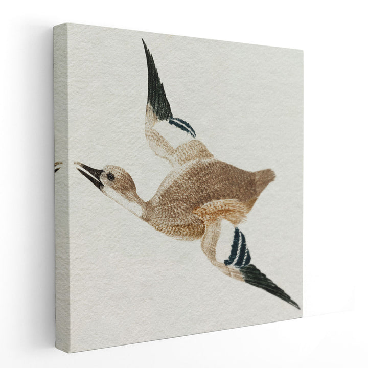 Flying Ducks II - Canvas Print Wall Art