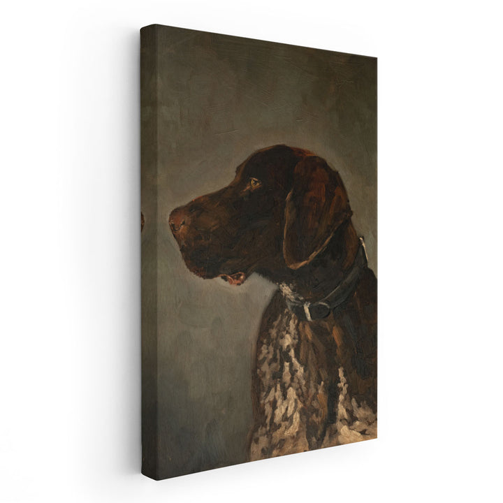 Hunting Dog - Canvas Print Wall Art